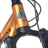 Academy Trail 4 Ambre