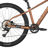 Scott Roxter 600 alliage brun (2025)