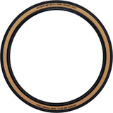 Schwalbe Road Cruiser Active pneu à tringle rigide 27x1 1/4" KvlrGuard Green Compound beige/noir