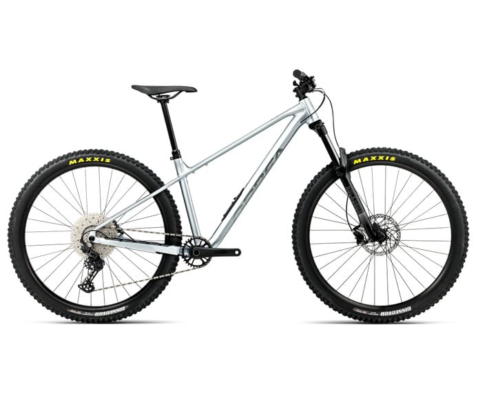 Orbea LAUFEY H30 Smooth Silver (Mat) - Titanium (Brillant)