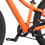 Scott Roxter 200 orange vif