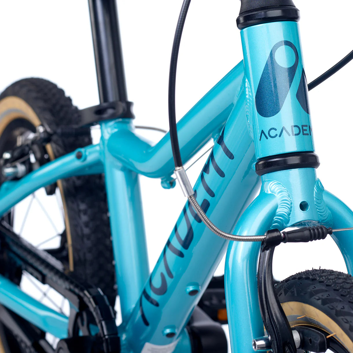 Academy GRADE 2 Océan