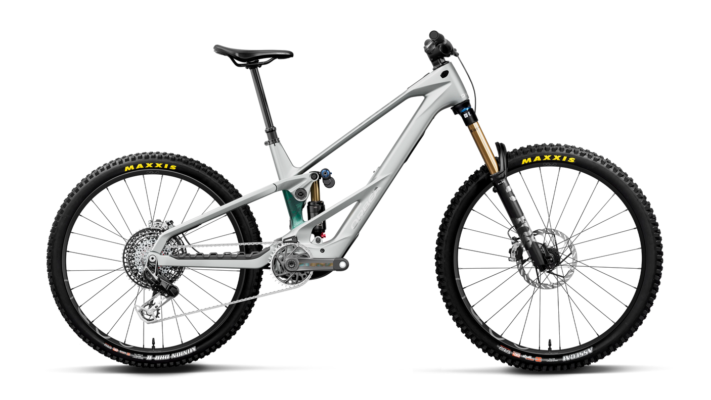 Orbea WILD LT M-LTD RS MULLET Smooth Silver (Mat) - Escape Green C. View (Brillant)