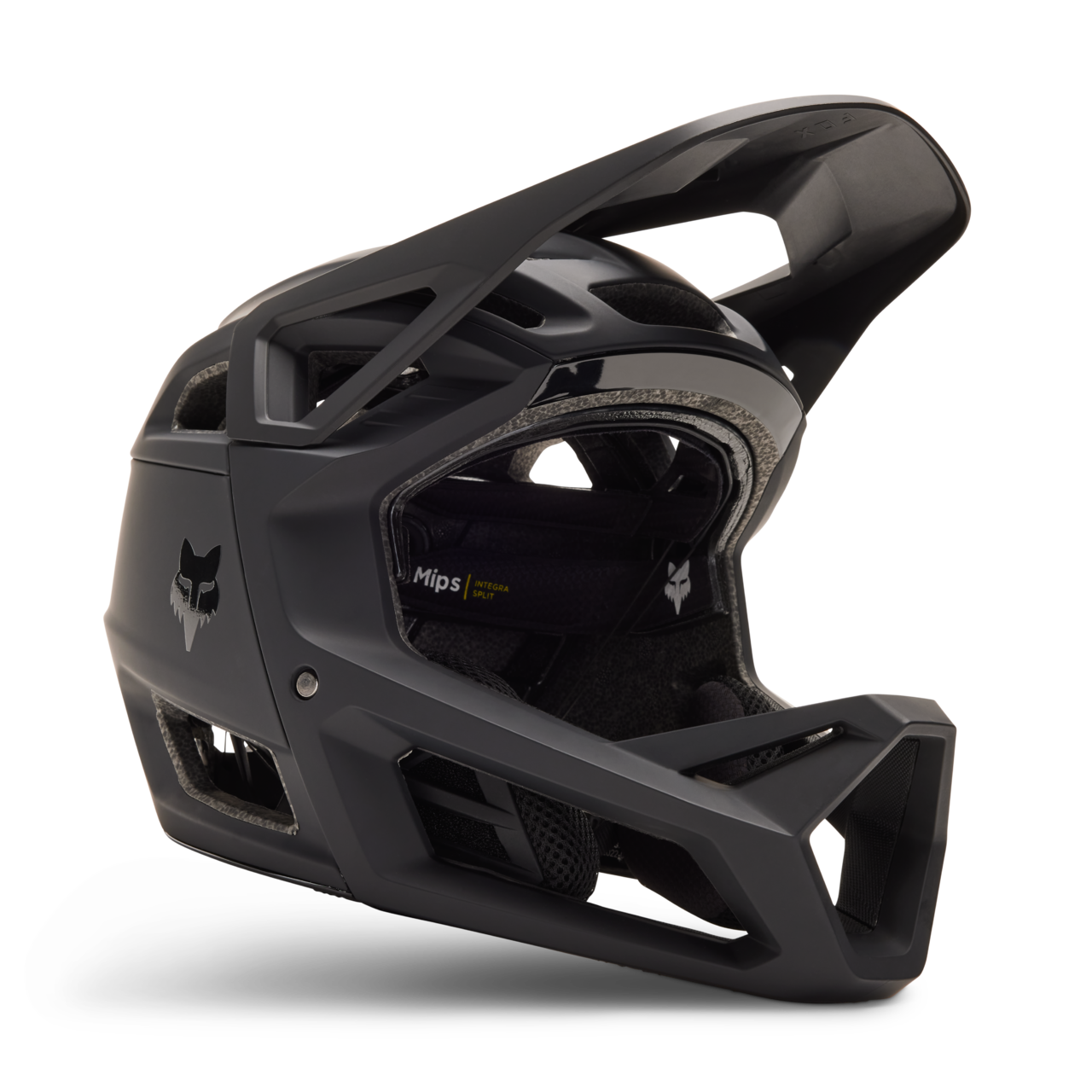 Casque intégral Fox Proframe RS Mat noir
