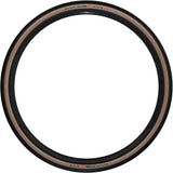 Schwalbe G-One RS pneu pliant 700x35C Evolution Super Race V-Guard Addix Race E-25 TLE noir