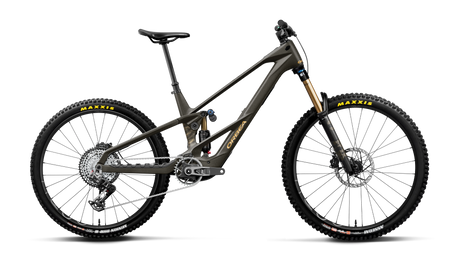 Orbea WILD LT M-TEAM RS MULLET Magic Gold C. Vue (Mat) - Or Titan Gold (Brillant)
