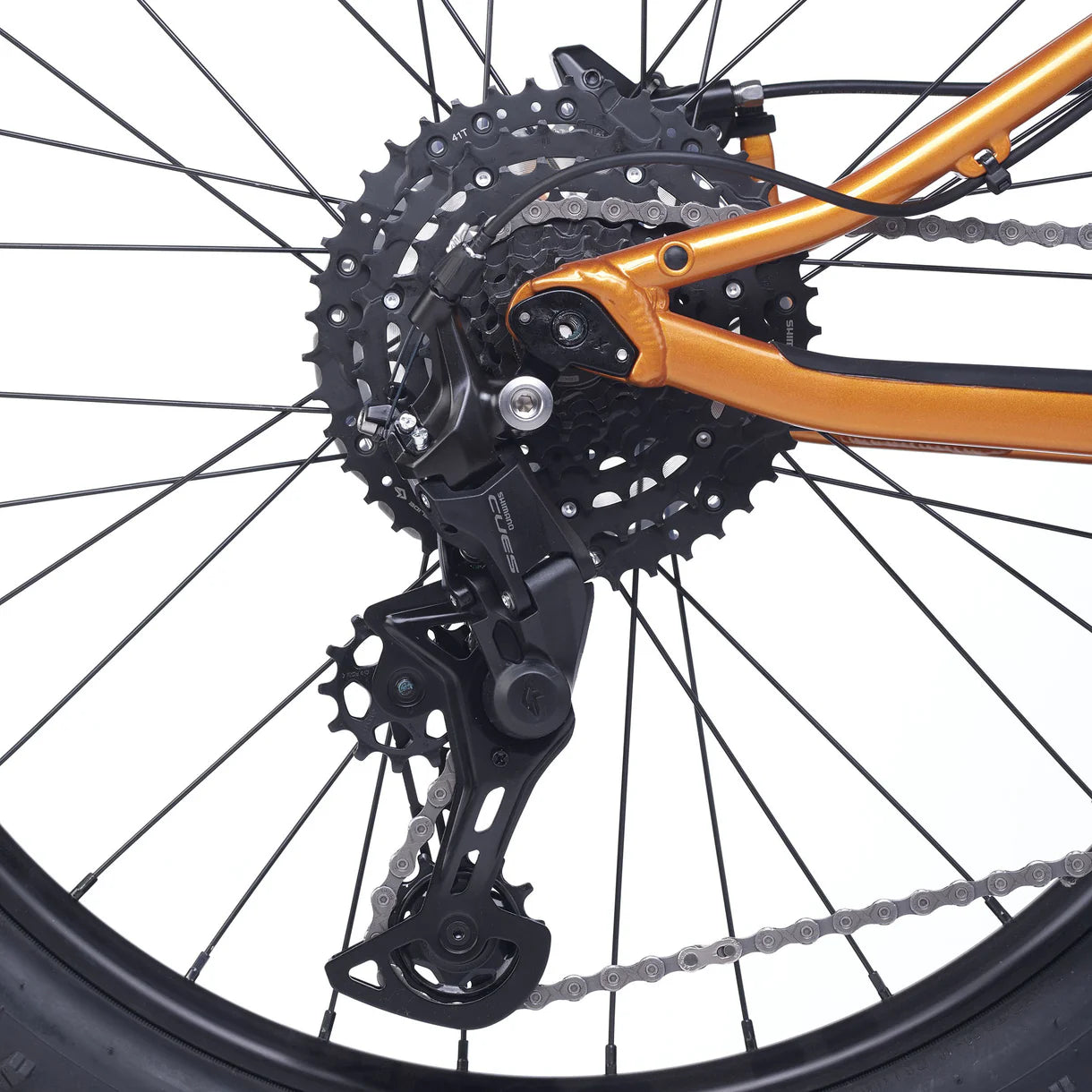 Academy Trail 4 Ambre