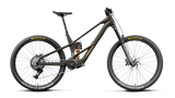 Orbea WILD LT M20 Magic Gold C. Vue (Mate) - Titan Gold (Brillant)