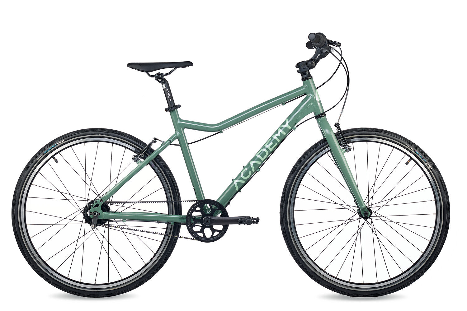 ACADEMY Grade 6 Belt 26