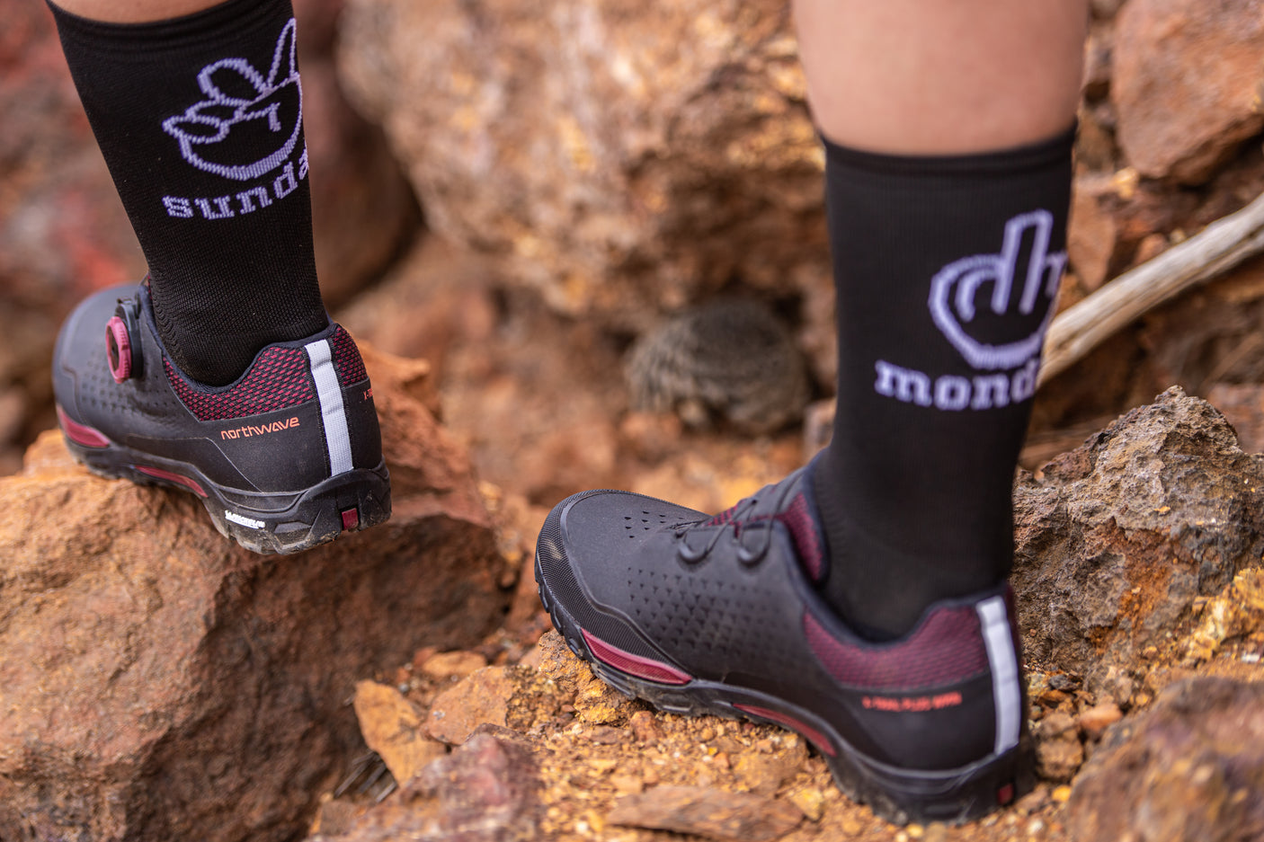 Northwave Sunday Monday Chaussette Noire