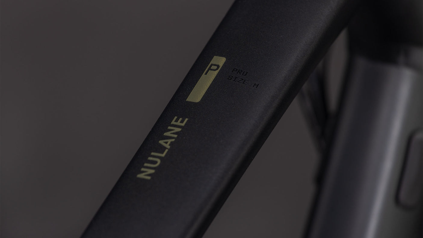 Cube Nulane Pro FE  gris´n´chrome (2026)