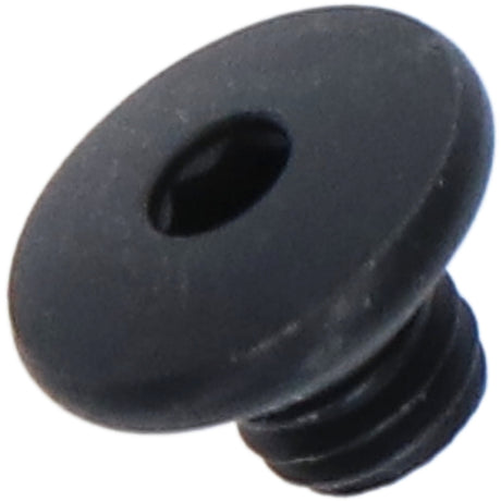 Vis de purge Shimano avec joint pour BL-M785