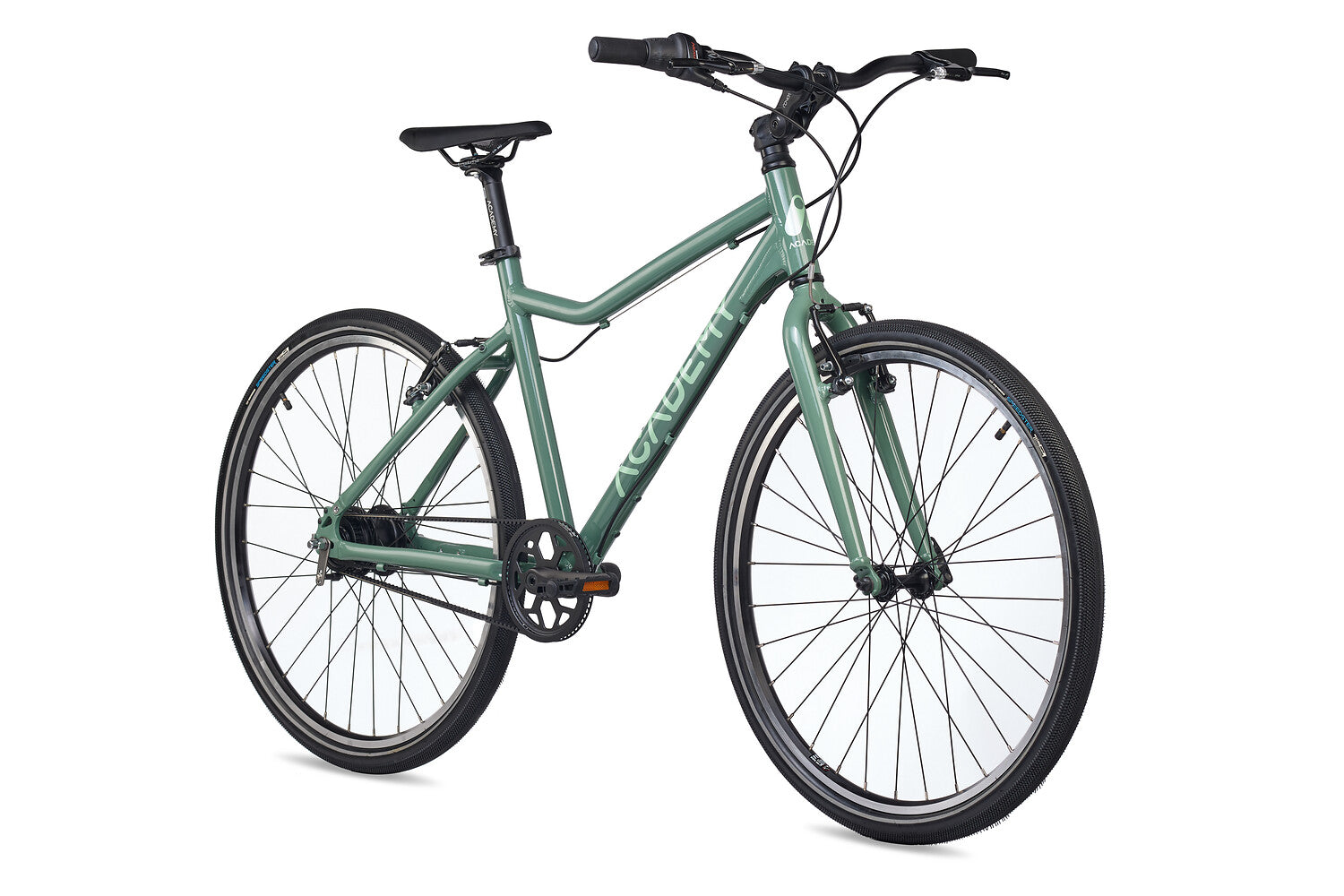 ACADEMY Grade 6 Belt 26