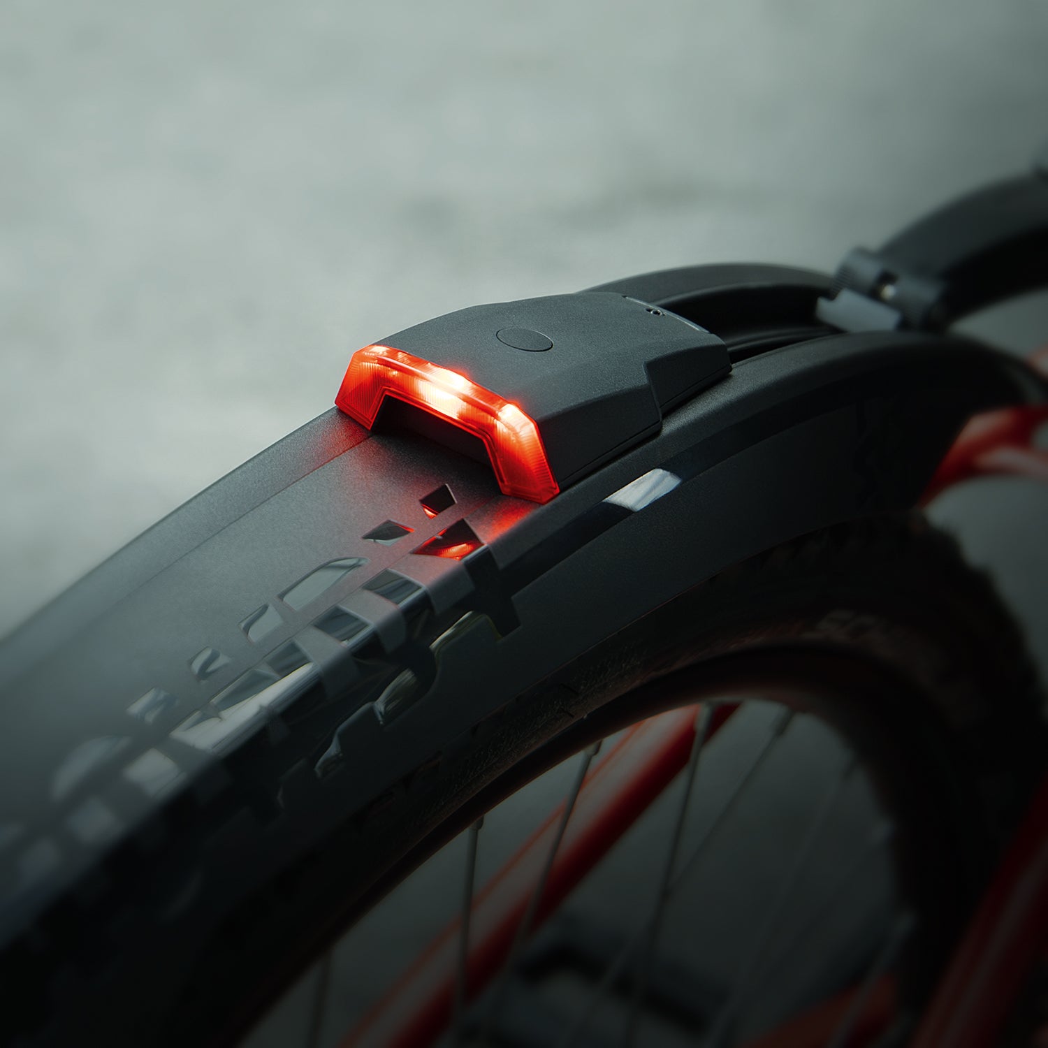 SKS Germany ROWDY FEU ARRIÈRE Protection de roue Black