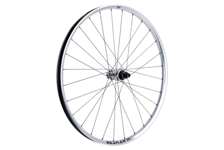 Newmen Wheel Beskar 30 strong 29" 28h FADE SP 6B 12x148 XD argent LTD