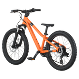 Scott Roxter 200 orange vif