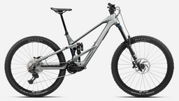 Orbea WILD LT H10 Gris Titane - Noctiluca C View (Mat)