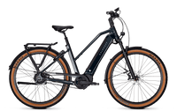 Kalkhoff Entice 5 Excite+ Trapeze darksprings brillant – aktuelle Variante