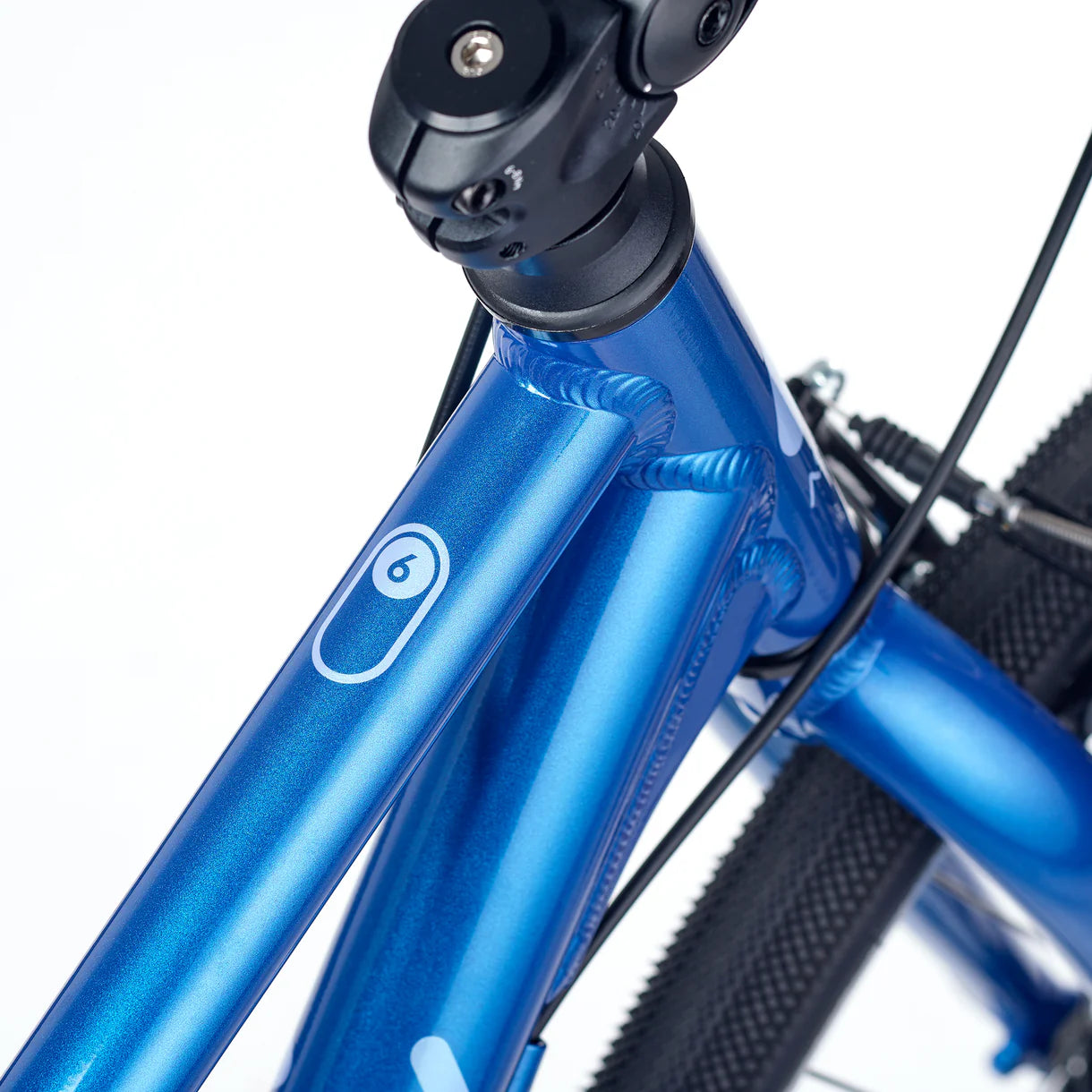 Academy GRADE 6 courroie Bleu