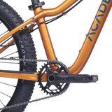 Academy Trail 5 Ambre