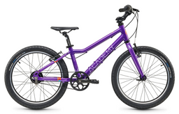 ACADEMY Grade 4 Belt 20" Violet (2025)