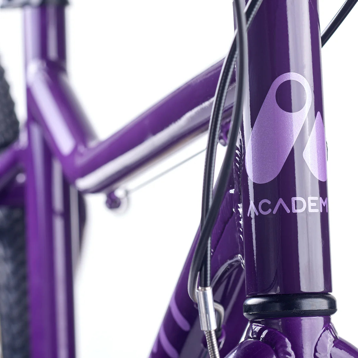 Academy GRADE 6 Violet