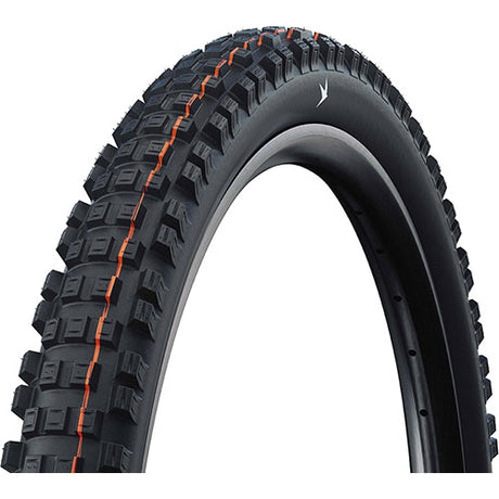 Schwalbe EDDY CURRENT GRAVITY PRO SOFT Radial E-50 29" Tubeless Ready noir