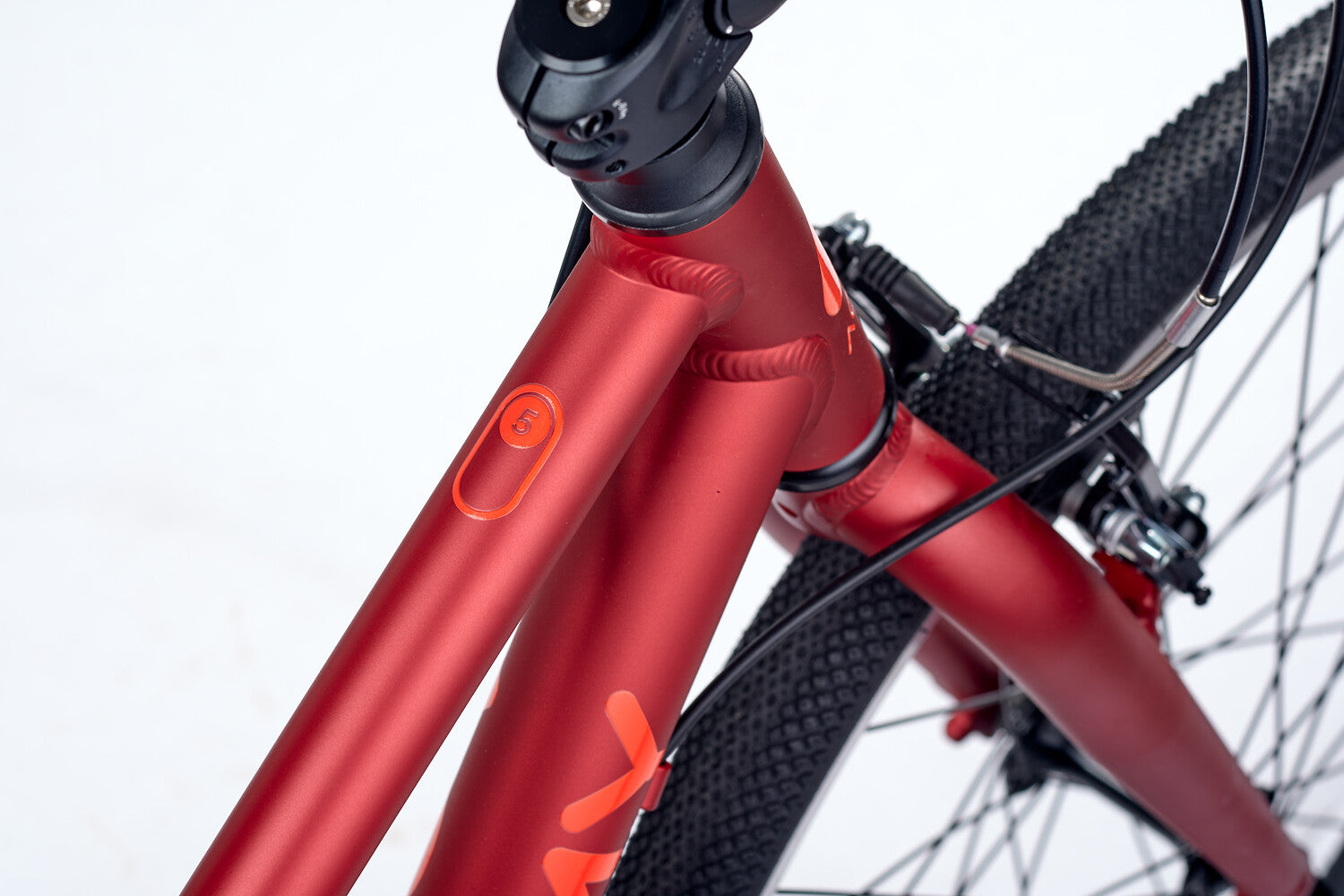 ACADEMY Grade 5 Courroie 24