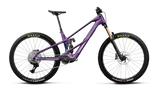 Orbea WILD LT M10 Royal Plum-Noctiluca C.View (Brillant)