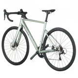 Scott Speedster 20 vert réséda