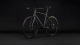 Cube Nulane Deluxe EXC gris´n´chrome (2027)