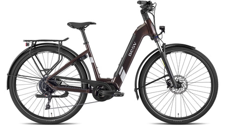 BESV TR 1.3 LS Terre d'Ombre Métallique