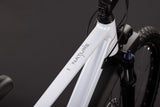 Cube Nature Pro FE Diamant metallicwhite´n´reflex (2027)