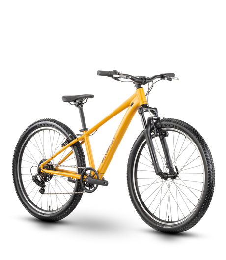 Raymon Nayta 26 Comp curcuma