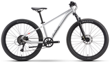Raymon Nayta 26 Pro rawsilver