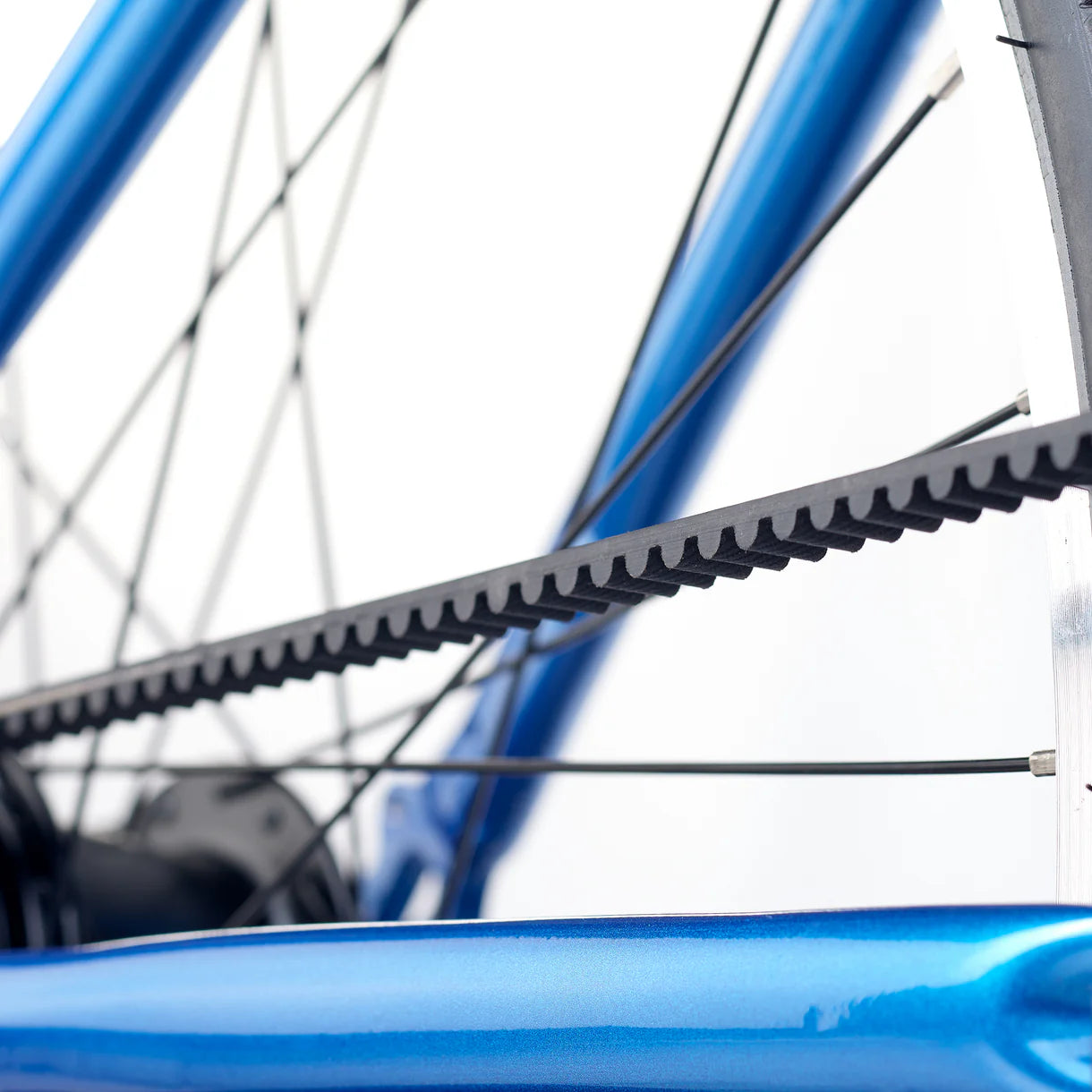 Academy GRADE 6 courroie Bleu