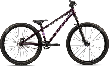 Academy PUMP 6 Prune