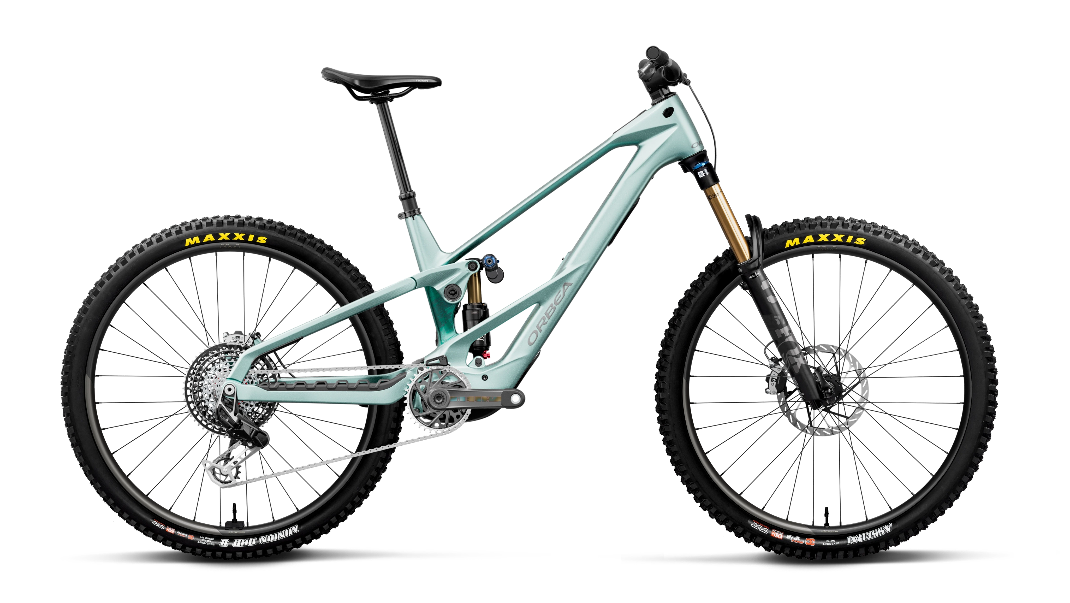 Orbea WILD LT M-LTD RS Smooth Silver (Mat) - Escape Green C. View (Brillant)