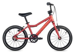 Academy Grade 3 Courroie 16" Rouge (2025)